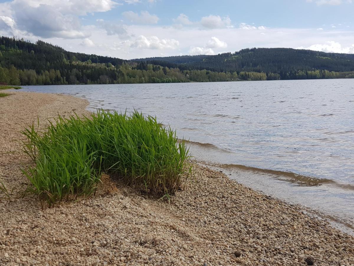Holiday House Tereza Lipno nad Vltavou Zewnętrze zdjęcie